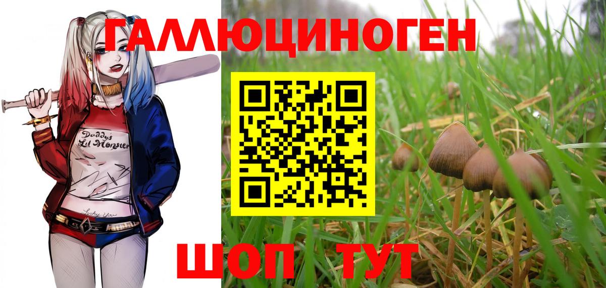 Каннабис  Alpha-PVP СОЛЬ кристаллы  Вход с VPN  Меф   Магнитогорск  Гашиш 